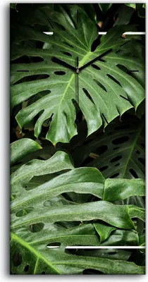 Produktbild von Dekor Leinwand Uhr Wandbilder 30x60 Gemälde Blüten Pflanzen Monstera Blätter - schwarze Hände