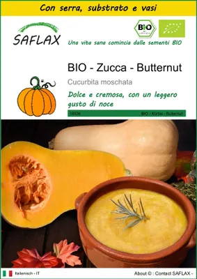 Immagine prodotto di SAFLAX Insieme di coltivazione -- Zucca - Butternut - 6 semi - Cucurbita