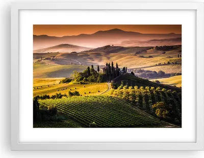 Produktbild von Gerahmtes Poster - Weißer Rahmen - Landwirtschaft Bauernhof Toskana Weinberg - 40x30 cm - Wand Bild - Wanddeko - Wandbilder - Wandposter - Bilderrahmen - Bilder - Kunstdruck - P2WAA40x30-2465