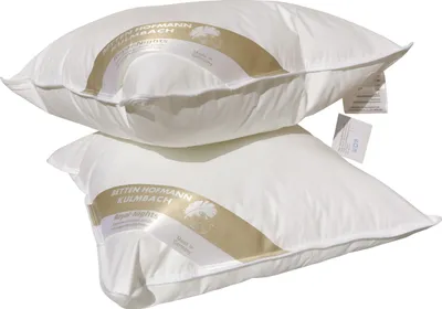 Produktbild von 2 Stück Betten Hofmann Basic Allergiker Kleinkissen Faserkissen 45x45 cm 250 g