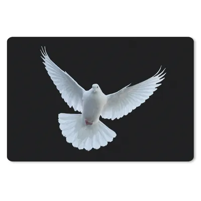 Produktbild von MuchoWow® Schreibtischunterlage Taube - Vogel - Schwarz - Weiß - Porträt 60x40 cm - XXL Mauspad - Großes Mauspad