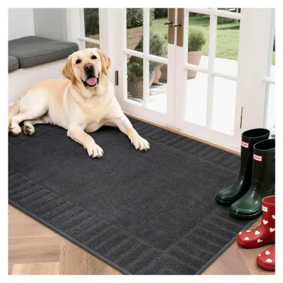 Produktbild von Fussmatte für Innen, Waschbare Schmutzfangmatte 80 * 120 cm, Rutschfester Fußabtreter für Eingang, Flur, Dunkelgrau
