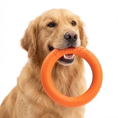 Produktbild von Hundespielzeug Ring 19cm EVA Orange – Schwimmfähig & Beißfest für Training