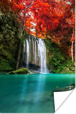 Produktbild von MuchoWow® Poster Wasserfall - Baum - Rot - Herbst - Wasser 120x180 cm - Kunstposter