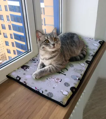 Obrázok produktu pre Mačací vankúš na parapet 55 x 25 cm Mačacie lôžko vodotesné, pohodlné, s 2 samolepiacimi pásikmi, Catnip