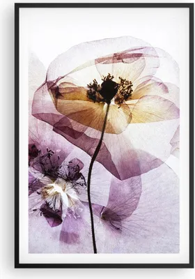 Produktbild von Gerahmtes Poster - Schwarzer Rahmen - blume sommer natur - 61x91,5 cm - Wand Bild - Wanddeko - Wandbilder - Kunstposter - Wandposter - Bilderrahmen - Bilder - Kunstdruck - Wandbild - P2BPA61x91-3821