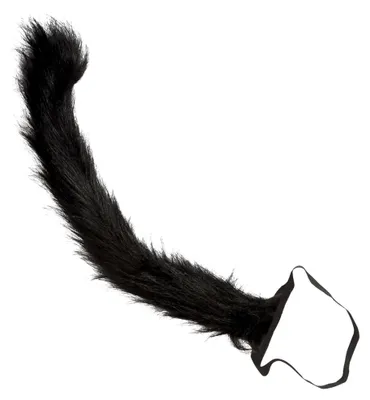 Image de Queue de chat