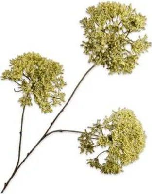 Produktbild von Silk-ka Kunstblume - Seidenblume - Kunstzweig Trachelium grün 85 cm