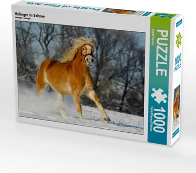 Produktbild von CALVENDO Puzzle Haflinger im Schnee | 1000 Teile Lege-Größe 64x48cm Foto-Puzzle für glückliche Stunden