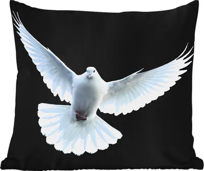 Produktbild von MuchoWow® Outdoor Kissen - Taube - Vogel - Schwarz - Weiß - Porträt - 40x40 cm - Wetterfest - Lounge Kissen - Kopfkissen - Interieur - Polster mit Bild