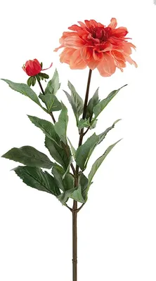 Produktbild von Gilde FINK, Kunstblume, Dahlie, Kunststoff, pink, VE 12 Höhe: 70.00 cm 63997