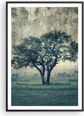 Produktbild von Gerahmtes Poster - Schwarzer Rahmen - Baum Natur Feld - 70x100 cm - Wand Bild - Wanddeko - Wandbilder - Kunstposter - Wandposter - Bilderrahmen - Bilder - Kunstdruck - Wandbild - P2BPA70x100-3627