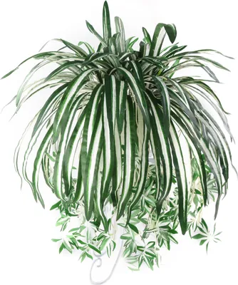 Produktbild von 1 Stück Chlorophytum Comosum Faux Greenery Decor Künstliche Spinnenpflanze