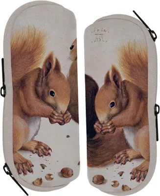 Produktbild von Brillenetui, Eichhörnchen, 17 x 7,5 cm, Neopren + Plüsch, Tier Brillen