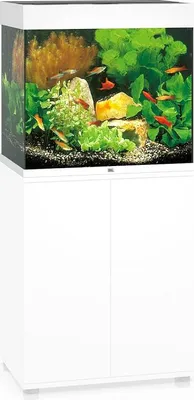 Zdjęcie produktu dla Juwel Lido 120 LED biały - akwarium Juwel