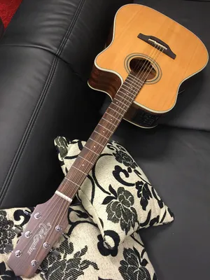 Image de Takamine GD20CE NS2 Naturel Satin