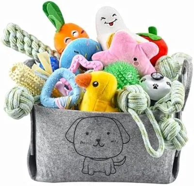 Image de Lot de jouets pour chiots avec boîte de rangement - Boîte de rangement 24 pièces