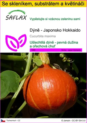 Obrázek produktu pro SAFLAX Kultivační sada - Dýně - Japonsko Hokkaido - Cucurbita maxima - 10 Semena - S mini skleníkem, pěstebním substrátem a 2 květináči