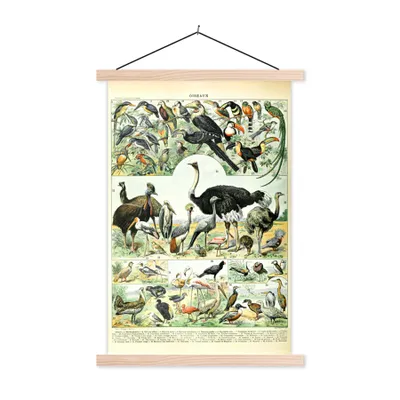 Produktbild von MuchoWow® Textilposter Tiere - Vögel - Design 60x90 cm mit holzfarbenen Rahmen - Textil