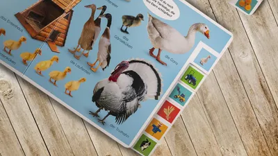 Obrázek produktu pro Erstes Lernen. Farben