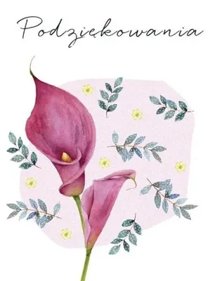 Image de Carnet Swarovski carré CL4519_PO Merci - Clear Creations