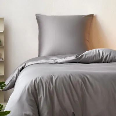 Produktbild von Bettwäsche-Set mit Bettbezug – 100% Baumwolle – Eisberggrau – 155x220 cm