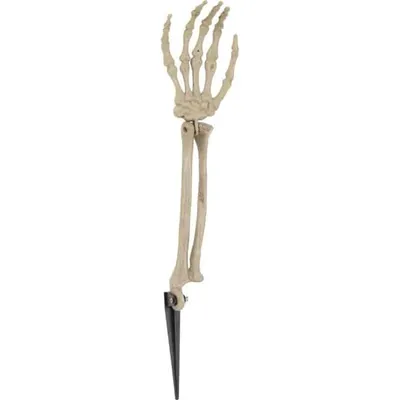 Obrázok produktu pre Skelett-Arm - ca. 37 x 9 x 5 cm