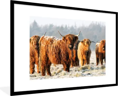 Produktbild von MuchoWow® Gerahmtes Poster Schottische Highlander - Schnee - Wald 90x60 cm - Poster mit Schwarzem Bilderrahmen Wandposter Rahmen Foto Bilder - Wanddekoration - Fotos