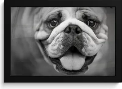 Produktbild von MuchoWow® MuchoWow® Gerahmtes Poster Tierprofil Bulldogge in schwarz und weiß 30x20 cm - Poster mit zchwarzem Bilderrahmen - Kunstdruck - Bild-Poster