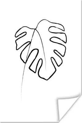 Produktbild von MuchoWow® Poster Blätter - Monstera - Strichzeichnung 80x120 cm - Papierdruck