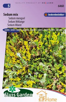 Image de Mélange de graines Sedum - différentes plantes succulentes couvre-sol pour un jardin coloré et facile d'entretien - floraison de haute qualité et longue durée
