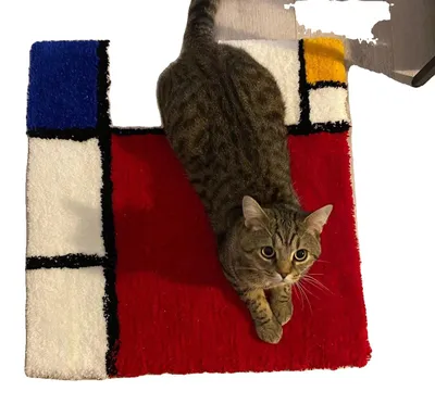 Zdjęcie produktu dla Tkanina tuftowana z podszewką, nadająca się do prania w pralce, jednokolorowa, 1,5 m x 10 m