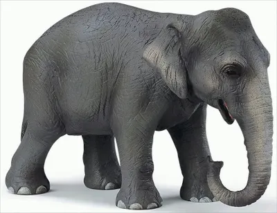 Produktbild von Schleich 14344 - Asiatische Elefantenkuh