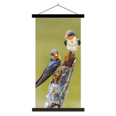 Produktbild von MuchoWow® Textilposter Vögel - Zweig - Porträt 60x120 cm mit schwarzem Rahmen - Magnete