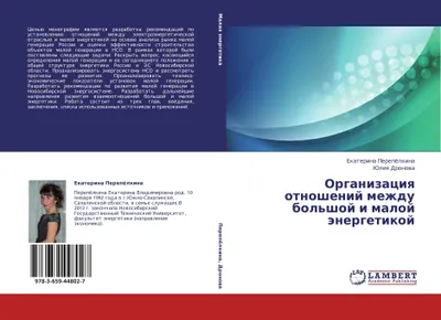 Produktbild von Organizaciq otnoshenij mezhdu bol'shoj i maloj änergetikoj