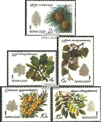 Produktbild von Briefmarken Sowjetunion 1980 Mi 5002-5006 (kompl.Ausg.) gestempelt Bäume und Sträucher