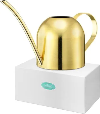 Productafbeelding van Famanu gieter van roestvrij staal, 1000 ml, modern design - voor planten en bloemen
