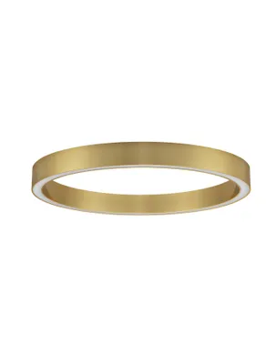 A gold ring-shaped light fixture against a white background.
