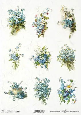 Immagine prodotto di ITD carta di riso per decoupage, R1983 fiori di primavera, nontiscordardime