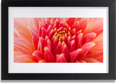 Produktbild von Bild 30x20 MDF-Rahmen Wandkunst Natur Blume Pflanze