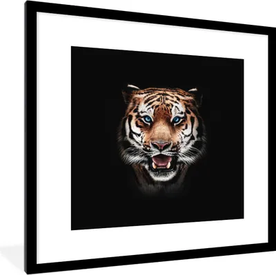 Produktbild von MuchoWow® MuchoWow® Gerahmtes Poster Tiger - Tiere - Schwarz 40x40 cm - Poster mit zchwarzem Bilderrahmen - Poster - Plakat im Rahmen