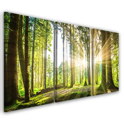 Produktbild von Triptychon auf leinwand grüne landschaften 120x80 cm Feeby grün wandbild bereit zum aufhängen