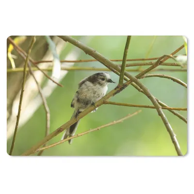 Produktbild von MuchoWow® Schreibtischunterlage Vogel zwischen den Zweigen 60x40 cm - XXL Mauspad - Großes Mauspad