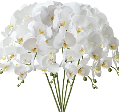 Image de FagusHome : 6 tiges de fleurs artificielles phalaenopsis, 80 cm, fleurs d'orchidée blanches artificielles, plantes en pot pour la décoration intérieure