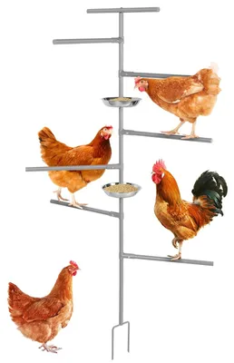 Obrázek produktu pro Kurník pro slepice s návodem