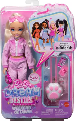 Immagine prodotto di Barbie Dream Besties JMV16, bambola alla moda, per bambine, dai 4 anni, altezza: 298 mm, multicolore