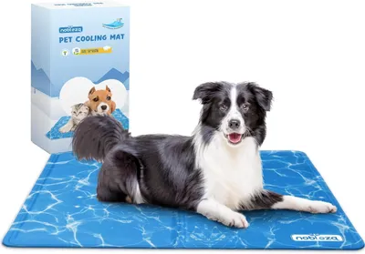 Produktbild von Nobleza Kühlmatte Hunde Selbstkühlend Ungiftige Gelauflagen Welpe Katzenbett Kühlmatratze im Sommer, 65 * 50cm, Blau, M
