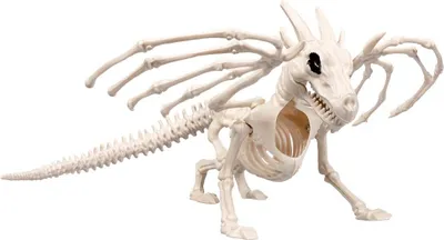 Produktbild von Skelett Tier Drache 13 x 26 cm Halloween Dekoration