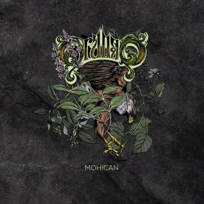 Produktbild von Orango: Orango - Mohican (180g) -   - (LP / M)