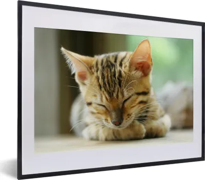 Produktbild von MuchoWow® MuchoWow® Gerahmtes Poster Ein schlafendes Kätzchen 40x30 cm - Poster mit zchwarzem Bilderrahmen - Bilderrahmen - Poster im Rahmen